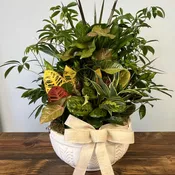 Large Ceramic Dish Garden
