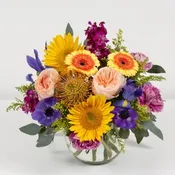 Burst of Summer