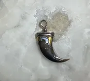 Bear Claw Pendant