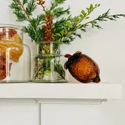 Glass Acorn, Coffee