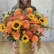 Autumn Abella