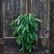 30" Noble Fir Teardrop