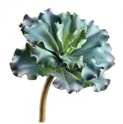 10'' Ruffled Echeveria Pick ( CE1130-GR/BU )
