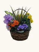 12 INCH FLOWERING DISH GARDEN