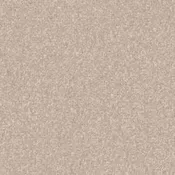 Look Forward in French Canvas