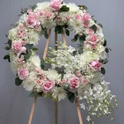 Sympathy 4