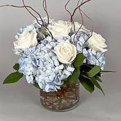 Blue Grace