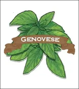 Basil Seed. Organic Genovese. Pkt.