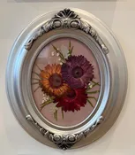 Oval Pressed Display