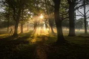 Nature, Somatics & Spirit Online Course — Casari Ranch