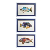 Fish Collage Wall Art - (set of three)
