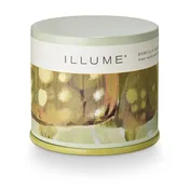 borealis moss candle