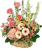BLUSHING SWEETNESS