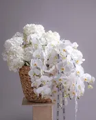 Alabaster — White Orchid & Hydrangea Cascade Basket