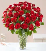 4 Dozen Ultimate Elegance Long Stem Red Roses