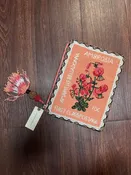 Anthropologie Ambrosia Decorative Pouch NWT