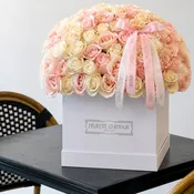 Amélie – 100 Ecuadorian Roses Luxury Box | Katy Florist