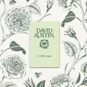 David Austin® E-Gift Card