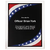 Acrylic Wall Plaque Award