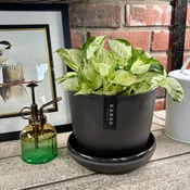 7 Inch Upcycled Plant Pot | Bamboo Fibre Black