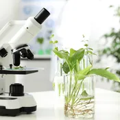 The Science Behind Our Plant Based Skin Care