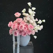 Beauty