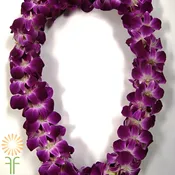 White and Purple Dendrobium Orchid Lei, Double