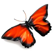 Butterfly Wall Art