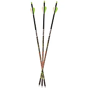 Adrenaline .350 - 6pk Arrows