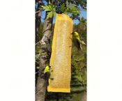 10 inch Finch Magic Thistle Sack Gold