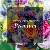 Designers Choice Premium
