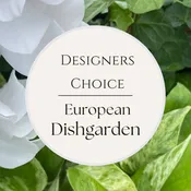 Designer's Choice European Dishgarden