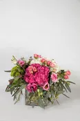 Wild For You Hydrangea — FLORAL & FRUIT PARADISE