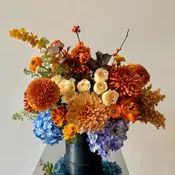 Autumn Harmony