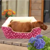 Boss Pet Edge Red Mulberry Arrow Slumber Pet Cuddler Bed