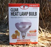 Clear Heat Lamp Bulb