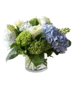 BEAUTIFUL BLUES