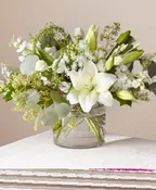 ALLURING ELEGANCE