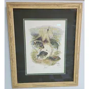1972 Howard Fain “Bluegills” Signed 258/1000 Framed Lithograph w/ Double Mat