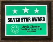 4H Silver