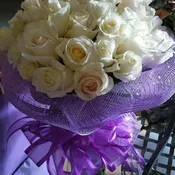 Pure white roses, MO101