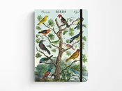 Cavallini Large Vintage Notebook - Birds