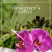 Designer's Choice $100.00