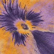 Abyss Habidecor Pansy Bath Rug - Curcuma (870)