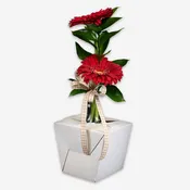 Jetwrap Budvase Floral Delivery Box #606