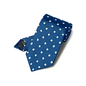 Blue & White Polka Dot Silk Woven Tie