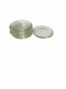 10 Vintage Glass Pie  Plates 8"rd