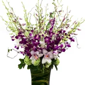 Bombay Galore By Newport Florist NF252