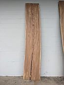 American Elm AE110