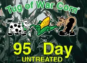 95-Day Conventional Untreated